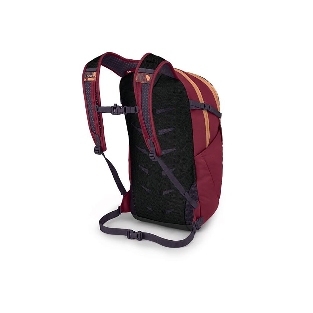 Osprey daylite plus laptop backpack online