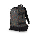Gregory All Day V2.1 Backpack 中背囊