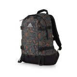 Gregory All Day V2.1 Backpack 中背囊