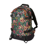 Gregory All Day V2.1 Backpack 中背囊