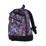 Gregory Fine Day V2 Backpack 中背囊