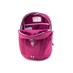 The North Face Youth Mini Recon Backpack 52VX 中童 背囊
