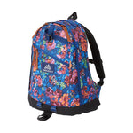 Gregory Day Backpack 中背囊