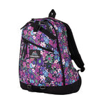 Gregory Day Backpack 中背囊