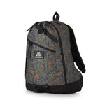 Gregory Day Backpack 中背囊