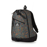 Gregory Day Backpack 中背囊
