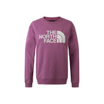 The North Face Women's Summit Mesh RLX Crew 8ASU FW24 長袖衛衣 女裝 W'S
