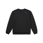 The North Face Women's Summit Mesh RLX Crew 8ASU FW24 長袖衛衣 女裝 W'S