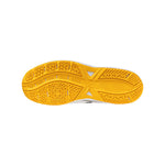 Mizuno Unisex Cyclone Speed 5 V1GA2580 Indoor FW25 男女裝 室內鞋 排球鞋